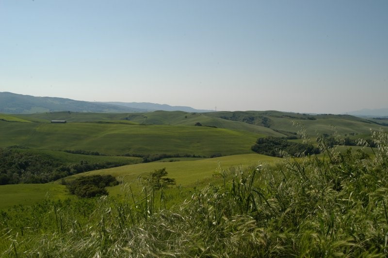 BIBBONA CAMPAGNA